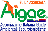 logo Aigae